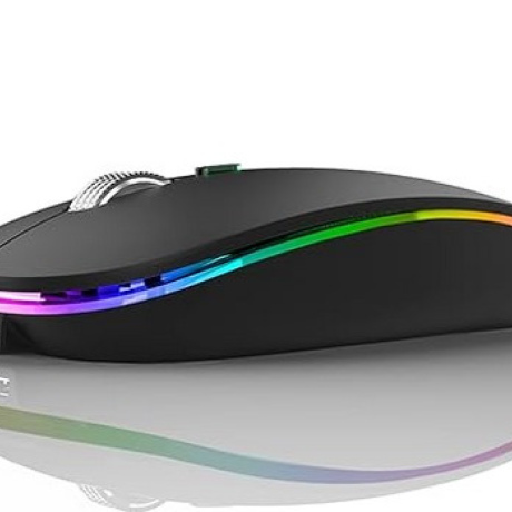 Wireless Bluetooth Mouse, LED Slim (Bluetooth 5.1/5.0 + USB) 2.4GHz Rechargeable Silent Bluetooth